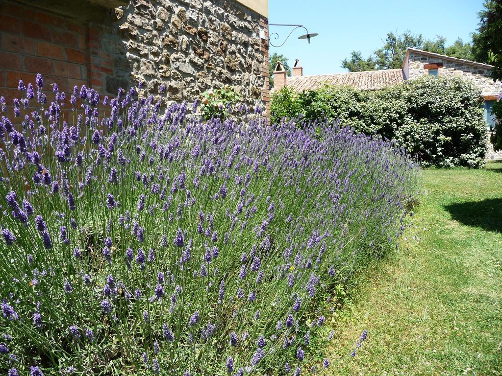 Podere Sant'Angelo Roccalbegna Exterior photo